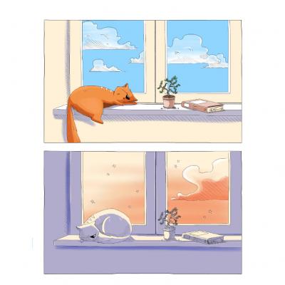 5